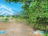 Bán Đất Siêu Hot Tại Tân Hải, Phú Mỹ, Bà Rịa Vũng Tàu 410 M2