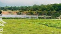 Bán Gấp Trang Trại Đẹp Tại Xã Tiến Xuân, Thạch Thất, Hà Nội, 10 Triệu Vnd/M2 1800 M2 Liên Hệ: 0982361866