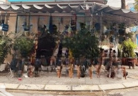 Nhà 3 Tầng 2 Mặt Tiền Hải Hồ - Hải Châu 85M2 Ngang 5,6M Đông Nam Mát Mẻ Dòng Tiền Thuê 30 Triệu.