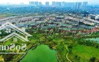 Chính Chủ Bán Đất Dịch Vụ An Thượng Mặt Đường Lk8 Rộng 60M