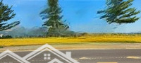 Bán 275M2 Đất Thổ, Đường Nhựa Lớn, Tách Được 2 Lô, Giá Bán 2.350Ty Diên Phước, Diên Khánh
