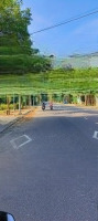 Bán 275M2 Đất Thổ, Đường Nhựa Lớn, Tách Được 2 Lô, Giá Bán 2.350Ty Diên Phước, Diên Khánh