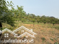Cần Tiền Bán Nhanh Đất Cao Sơn Đà Bắc