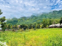 Chủ Cần Bán 2900M2 Viu Cánh Đồng Viu Núi Đẹp Giá Rẻ Liên Hệ: 0982361866