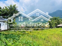 Chủ Cần Bán 2900M2 Viu Cánh Đồng Viu Núi Đẹp Giá Rẻ Liên Hệ: 0982361866
