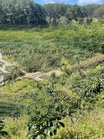 [ 850 Triệu/800M2] Đường Ô Tô, View Thông Đồi Núi. Sổ Đỏ