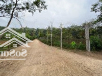 Bán Đất Tại Xã Ngọc Mỹ, 480 Triệu, 510M2, Lô Góc 2 Mặt Tiền Đường Bê Tông,Giá Siêu Hời Chính Chủ