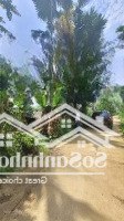 Bán Đất 700M2 Tại Xã Lỗ Sơn, Tân Lạc, Hòa Bình, Giá Bán 550 Triệu Vnd