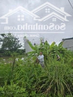 Bán 50,9M2 Và 59,5M2 Đất Đồng Ông, Có Sổ Đỏ Kèm Theo