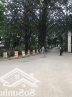 Cần Bán Mảnh Đất Full Thổ Cư Tại Đa Tốn, Gia Lâm, 272M2,Mặt Tiền11.5M, Giá Bán 32 Tỷ, Oto Vào Tận Đất (Ctl)
