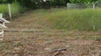 Đất T/Cmặt Tiềnđườg Nguyễn Văn Trung, Phường 7, Bến Tre. Với 120M2 Gần Cầu Mỹ Hoá Shr.giá Chỉ 550 Triệu
