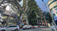 Bán Nhà Mặt Tiền Cô Bắc Quận 1Ngay The Grand Manhattan, Dt: 11X23M Cn : 224M2Khuôn Đẹp 135 Tỷ