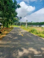 Cách Kcn Tân Tiến 1 - 2 700M. 1006M2 Đất Bằng Phẳng Xây Trọ Làm Nhà Nghỉ Dưỡng Giáchỉ 210 Triệu