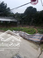 Tôi Bán Lô Góc 480M Mt: 20Mx24M Sát Trục Đê Đáy Xã Thượng Vực-Chương Mỹ Ngõ Chạy Vòng Quanh Đất