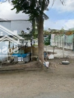 Bán Đất Tại Huỳnh Văn Trí, Bình Chánh. Cách Ql1A 400M, 655 Triệu/90M2. Shr, Full Thổ, Nền Đã San Lắp.