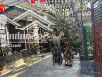 Bán Nhà 2 Tầng Vị Trí Vàng Nguyễn Tri Phương Hải Châu, Dòng Tiền Ổn Định, Giá Tốt Nhất Khu Vực