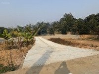 Bán Đất 102M2 Tại Mỹ Trung, Xuân Khanh, Sơn Tây, H Xuân Khanh, Sơn Tây, Hà Nội, Giá Cực Chất 1,5 Tỷ