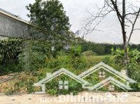 Bán Đất 102M2 Tại Mỹ Trung, Xuân Khanh, Sơn Tây, H Xuân Khanh, Sơn Tây, Hà Nội, Giá Cực Chất 1,5 Tỷ