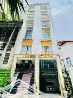 Bán Nhà Siêu Vị Trí Mặt Tiền Hoa Mai - Dt: 9X20M - Hầm + 4 Lầu - Giá Bán: 45 Tỷcó Thương Lượngtin Thật 100%