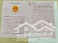 Bán Gấp Đất Chính Chủ 113M2 Đường Âu Cơ, Duy Xuyên, Quảng Nam