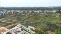 Chính Chủ Cần Bán Lô Góc Siêu Đẹp Hòa Lạc - Đầu Tư Là Có Lời Ngay