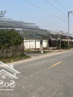 Đường Nhựa 4M Hòa Nghĩa, Dương Kinh Chỉ 1,45 Tỷ - Sau Nhà Mặt Đường 402.
