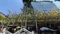 120 Tỷ Hạ Về 95 Tỷ ! Bán Toà Nhàmặt Tiềnnguyễn Thái Bình_Q1 (8 X 24M) Hầm 7 Tầng, Hđt 420 Triệu/Tháng_Ngộp