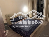 Cập Nhật Giá Cho Thuê Căn Hộ Diamond Centery 2 Phòng Ngủ(86M2, 96M2) - Dự Án Celadon City Tân Phú