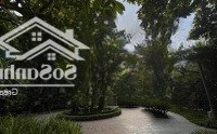 Em Trang Chuyên Dự Án Ecolife Tây Hồ Xin Cập Nhật Quỹ Căn 2- 3 Phòng Ngủgiá Chính Xác, Giao Dịch Chính Chủ