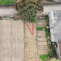 Lô đất 126m2 trong đó có 100m2 thổ cư, 26m2 CLN