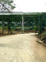 Chính Chủ Tôi Bán 156,3 M2 Thổ Cư Ngay Sát Khu Đấu Giá Và Nhà Ở Xh Tân Xã - Thạch Thất, Hà Nội