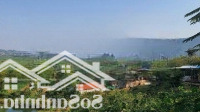 Chủ Gửi Bán 17 Sào Đất Rừng Sản Xuất Tại Tiến Xuân, Thạch Thất View Đỉnh Đồi, Sát Trường Maya