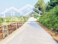 Chủ Gửi Bán 17 Sào Đất Rừng Sản Xuất Tại Tiến Xuân, Thạch Thất View Đỉnh Đồi, Sát Trường Maya