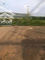 Chỉ Cần 285 Triệu Có Trong Tay Mảnh Vườn Mơ Ước Làm Nơi Nghỉ Dưỡng Cuối Tuần Tại Định Quán Đồng Nai