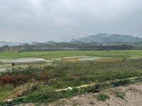 Chính Chủ Bán Một Chiếc View Đỉnh Cao!
- Diện Tích : 500M 50M Thổ Cư