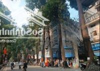 Bán Nhà - Mặt Phố Lò Đúc - 39 M2 - 3 Tầng - Ôtô Đỗ Cửa - Kinh Doanh Đỉnh