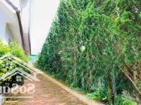 Villa Sân Vườn Mặt Tiền Ngay Thung Lũng Tình Yêu 555M2 29 Tỷ Thương Lượng