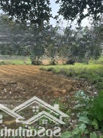 Lô Đất Rộng 3608M2, Trong Đó Có 400M2 Đất Thổ Cư Phần Còn Lại Là Đất Vườn