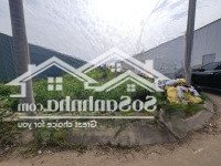 Bán Đất Đấu Giá Thường Tín Tại Xã Vân Tảo, Gần Vành Đai 4, Cao Tốc Pháp Vân - Cầu Giẽ, Him Lam.