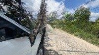 Bán Lô Góc 2 Mặt Đường Nhựa Bình Lộc, Diên Khánh Giá Chỉ 1Ty350