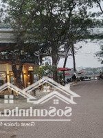 Bán Bt Bán Đảo Linh Đàm, 250M2, Thỏa Thuận
