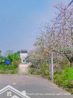 Đón Sóng Vin Đồng Trúc Và Metro 5 Chủ Bán 108M Cách Trục Đường Liên Xã Đồng Trúc Cần Kiệm 50M