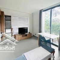 Khai Trương Siêu Phẩm View Sông Đầy Đủ Nội Thất Hiện Đại Ban Công Thoáng Hoàng Sa Quận 1