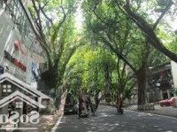 Mặt Bằng Siêu Hiếm Phố Phan Đình Phùng - Ba Đình 202M2X2 Tầng, Mặt Tiền 7,5M Nhận Diện Thương Hiệu