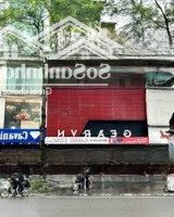Mặt Bằng Siêu Hiếm Phố Phan Đình Phùng - Ba Đình 202M2X2 Tầng, Mặt Tiền 7,5M Nhận Diện Thương Hiệu
