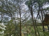 Bán Đất View Đẹp Quốc Lộ 2B, Thị Trấn Tam Đảo, 2.000M2 (400M2 Thổ Cư) Giá Siêu Hời Chỉ Nhỉnh 60 Tỷ