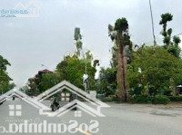 Vị Trí Nhiều Người Mơ Ước, Khu 31Ha, Lõi Gia Lâm, Kinh Doanh Bất Chấp,