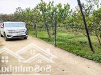 Bán Lô Đất Vườn Hoà Phú Gần 1000M2 Giá Chỉ 1,4 Tỷ