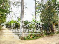 Bán Lô Đất Vườn Hoà Phú Gần 1000M2 Giá Chỉ 1,4 Tỷ