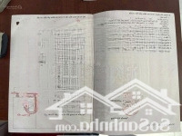 1 Sẹc Ngắn Đường Chính Hồ Văn Tắng, Diện Tích 1029M2, 100% Thổ Cư, Tân Phú Trung